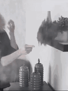 3f34c4b0989d4c47bb95a543db954cc2.gif